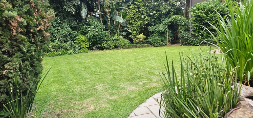 whatsapp image 2025 12 05 at 19.42.54 cbacd092