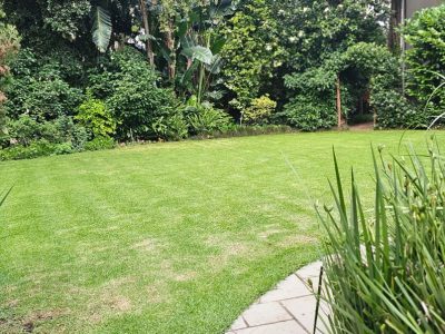 whatsapp image 2025 12 05 at 19.42.54 cbacd092